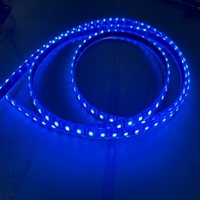Bande LED flexible RVB adressable Ibestwork DMX512, contrôle DC12V/24V, indice de protection IP65, pour bars et clubs DJ