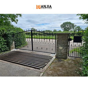 Cửa chính nướng thiết kế cổng bên ngoài phía trước nhập cửa thép chính đường lái xe cổng bất động sản rèn sắt cổng - Product Image 4