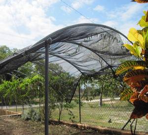 Lưới <span class=keywords><strong>raschel</strong></span> malla <span class=keywords><strong>raschel</strong></span> malla sombra mallas cắm trại mallas <span class=keywords><strong>raschel</strong></span> 50% - Product Image 3