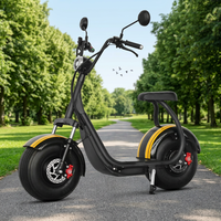 Vente en gros usine Trottinette électrique 1000W/2000W pour trajets quotidiens avec haut-parleur Bluetooth, batterie lithium 20AH, pneus larges Citycoco