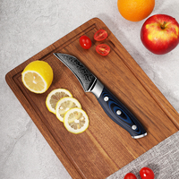 Haute qualité 67 couches en acier damas AUS 10 couteau de cuisine en acier au carbone pique-nique épluchage fruits couteau d'office avec poignée G10
