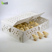 Boîte à poussins ventilée en PP ondulé, étanche, pour l'expédition de volailles, conteneur d'emballage en plastique écologique