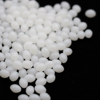 Perles de réparation dentaire temporaires de 5 à 50 ml, colle solide pour prothèse dentaire, réparation dentaire temporaire jetable