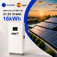 Paket Baterai Lifepo4 Spanyol 51.2V 314ah 300Ah 314Ah 320Ah 16kwh Baterai Lithium Ion Prismatik Penyimpanan Tenaga Surya Stok EU