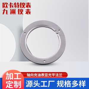 Manomètre axial à huile fourni par le fabricant, à flanges plates mates, en acier inoxydable, différentes tailles : 40 mm, 50 mm, 63 mm, 100 mm - Product Image 3