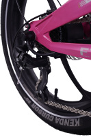 Vélo électrique pliable de 20 pouces, alliage de magnésium, freins à disque hydrauliques, moteur 36/48V, 250/500/750W, 7 vitesses avec écran LCD