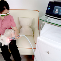 Evcil Hayvan Rehabilitasyon Merkezleri Veteriner Lazer Terapi Cihazı 810nm 980nm Lazer Tedavi Cihazı Köpekler, Kediler ve Atlar için