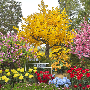 Momovalley 5M chiều cao dẫn phát sáng cây cho các dự án cảnh quan đô thị ngoài trời CE chứng nhận Dễ dàng cài đặt sẵn hệ thống có dây - Product Image 5