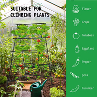 Haute qualité plante Triangle arc escalade croissance cadre plastique plantation support Anti logement plante escalade treillis