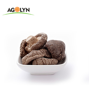 Mycélium de champignon Shiitake séché, <span class=keywords><strong>prix</strong></span> avantageux, fabriqué en Chine - Product Image 4