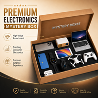 Boîte Mystère Téléphone 10 Articles 100% Accessoires Smartphone avec Écouteurs sans Fil Chargeur Batterie Externe Vente Chaude pour Détaillants et Revendeurs