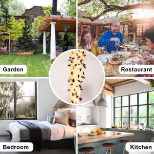 Trampa para moscas pegajosa para interior/exterior, cinta <span class=keywords><strong>atrapamoscas</strong></span> para frutas, tiras colgantes, paquete de 4 Uds. - Product Image 3