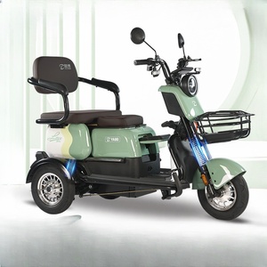 Tricycle électrique haut de gamme à suspension hydraulique, moteur sans balais, fourche avant en alliage d'aluminium, <span class=keywords><strong>3</strong></span> <span class=keywords><strong>roues</strong></span>, batterie au plomb-acide - Product Image 2