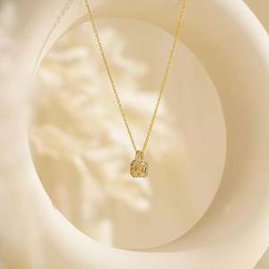 ドロップシッピング カスタム写真 ステンレス製 ロック型投影ネックレス CE認証取得済み 女性 母の日ギフト - Product Image 2