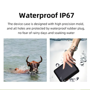 צריכת חשמל נמוכה המתנה ארוכה המתנה ארוכה של בקר משק בקר בקר סוס עם צווארון 4g - Product Image 3