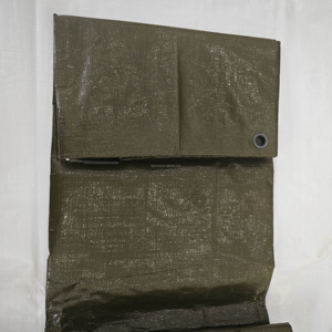 Bâche PE robuste pour l'extérieur, imperméable, en tissu plastique, bon prix, pour toutes les conditions - Product Image 4