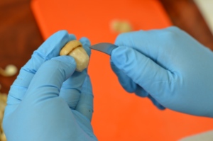 Porcini <b>Mushrooms</b> in Olive Oil White Sliced 580G - Product Image 2