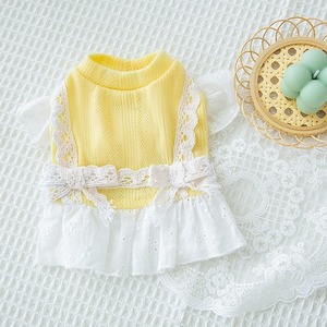 Vestido para mascotas de primavera y verano, estilo princesa, con estampado completo de fresas, para cachorros y gatos, de dos patas, con correa de tracción, estilo Teddy. - Product Image 3