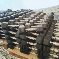 Haltères hexagonaux en fonte pour gymnastique à domicile pour les exercices de fitness corporel