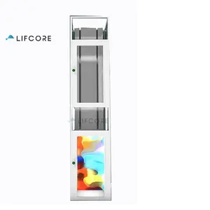 Luxurious beautiful 400KG private house use elevator price list home lift cost philippines