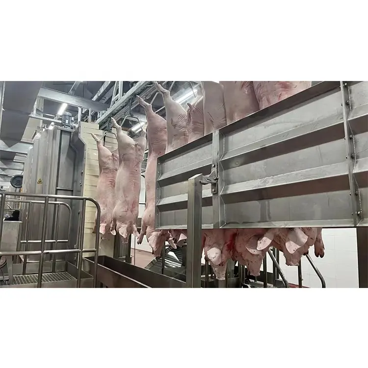 Peralatan garis pemotongan babi untuk pemrosesan daging babi