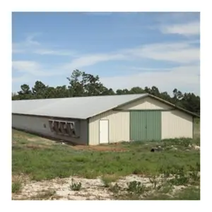 Precio al por mayor, casa de engorde de pollo prefabricada, estructura de acero, diseño de cobertizo de construcción de granja avícola