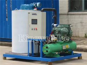 5 Ton 10 Ton CE Approved Industrial Ice Flake Machine Price For Sale In Africa Market