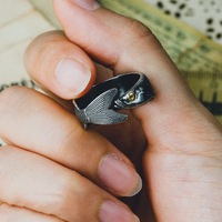 Nuevo Anillo con Forma de Pez, con Ajuste Cómodo, Estilo Retro, Moderno y Ajustable