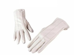 Gants de Falconerie Premium avec Logo Personnalisé OEM ODM, Protection des Mains en Cuir Renforcé de Haute Qualité, Fournisseur d'Usine - Product Image 6