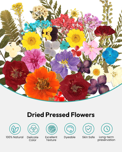 Kit di <span class=keywords><strong>Fiori</strong></span> Naturali Essiccati <span class=keywords><strong>e</strong></span> Pressati Misti, <span class=keywords><strong>Fiori</strong></span> Veri Colorati <span class=keywords><strong>e</strong></span> Piatti per Resina Epossidica, Sottobicchieri, Segnalibri, Custodie per Telefono, Artigianato Fai-da-Te - Product Image 2