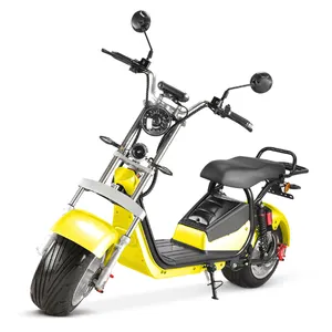 EEC COC 1500w 12AH Offroad-Roller Elektro-Moped-Roller Motorrad für Erwachsene EU-Lager
