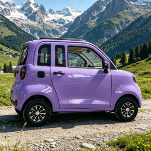 Modèles très demandés sur le marché roumain : Véhicule électrique à énergie nouvelle haute performance, vente directe d'usine, <span class=keywords><strong>mini</strong></span>-voiture électrique - Product Image 5