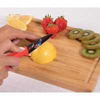 Couteaux de cuisine en acier inoxydable revêtu, modèles colorés, couteau de cuisine avec manche en pp 1 pièce