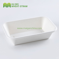 Barquette jetable en bagasse Retangel 950 ml, résistante à l'huile et à l'eau, 100 unités ° Usine de plateaux en fibres végétales C