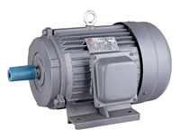 Moteur triphasé AC 25HP 18,5KW 2 pôles, conception IEC NEMA B, usine de moteurs locale chinoise, prix bas, haute qualité