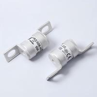 Fusible à action rapide RS308-HB-2G AR 50A 63A 250VAC 170VDC pour la protection des circuits semi-conducteurs
