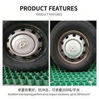 Dalles de gazon emboîtables pour allées et parkings, pavés perméables en plastique, système de pavage vert pour voies d'accès d'urgence et voies de circulation des pompiers