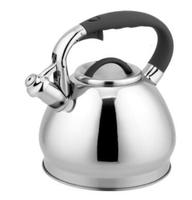 Bouilloire à thé moderne en acier inoxydable écologique avec sifflet, compatible induction, avec couvercle et sifflet en silicone pour usage domestique
