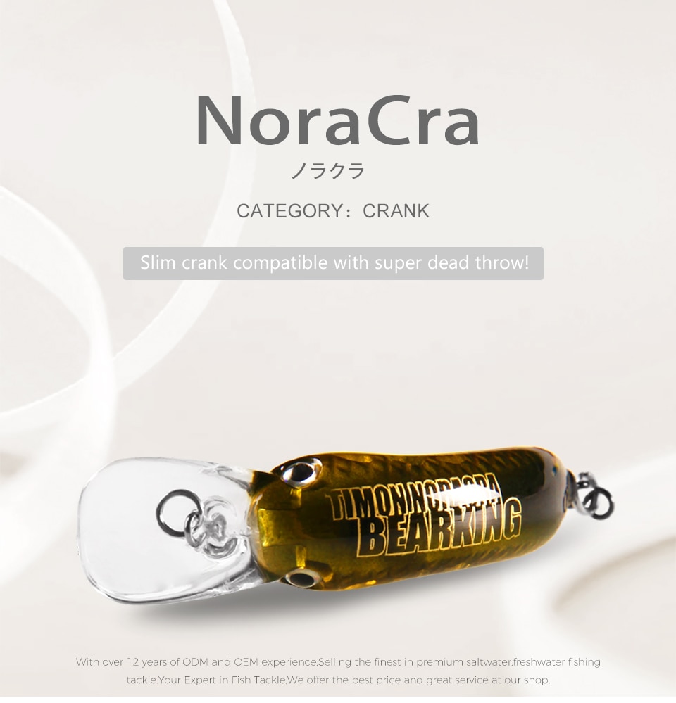 Bearking JackAll Timon Noracra 42F 29F Lures - Floating & Sinking