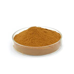 Livraison rapide extrait de menthe poivrée 20:1 poudre extrait de feuille de menthe poivrée de qualité alimentaire