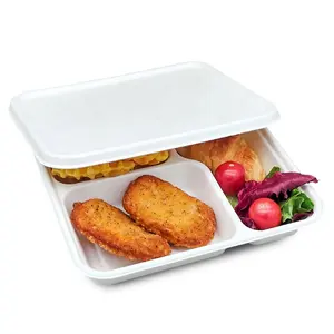 廉价甘蔗渣食品盒可生物降解生态甘蔗防油8英寸3格蔬菜托盘
