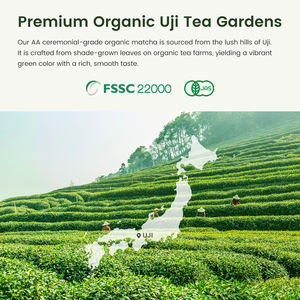 Proveedor Japonés, Venta al por Mayor, Té Verde Orgánico Japonés Personalizado, Matcha Japonés de Alta Calidad en Polvo para Beber, Matcha de Grado Ceremonial - Product Image 6
