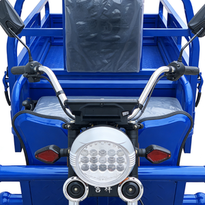 Motocicleta Eléctrica <span class=keywords><strong>de</strong></span> Carga <span class=keywords><strong>de</strong></span> 3 Ruedas, Chasis Personalizado, Rodamientos, Neumáticos, Camper, 60V 1000W, Trabajo Pesado Agrícola - Product Image 4