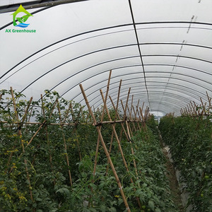 Serres agricoles à tunnel bas à prix abordable, structure en acier galvanisé commercial, film résistant aux UV - Product Image 2