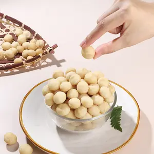 Macadamia fındık ham çin çanta üst satmak ham kavrulmuş gıda tüketimi Macadamia fındık çekirdeği