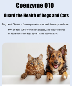 Suppléments nutritionnels pour animaux de compagnie Coenzyme Q10 souvent utilisé pour aider à soutenir la fonction cardiaque - Product Image 3