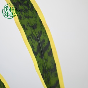 Planta Artificial de <span class=keywords><strong>Sansevieria</strong></span> con Borde Amarillo Realista, 32 Hojas, 96 cm, para Decoración de Casa, Oficina, Centro Comercial, Sala de Estar, Hotel y Comercios - Product Image 4