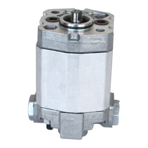 Bibo - Bomba de Engranajes Hidráulica de Acero Inoxidable, Bombas de Engranajes Rotativas, Categoría de Producto - Product Image 5
