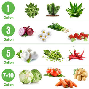 Sacs de culture extérieurs résistants en tissu non tissé de 20 gallons/75 litres, écologiques, épaisseur 1,5 mm, pour pommes de terre, pépinière de fleurs, pots de <span class=keywords><strong>jardin</strong></span> - Product Image 3