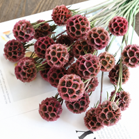 Capullos de Scabiosa Stellata Preservados, 10 Tallos, Ramo de Flores Secas Coloridas Hechas a Mano para Decoración de Bodas y Hogar